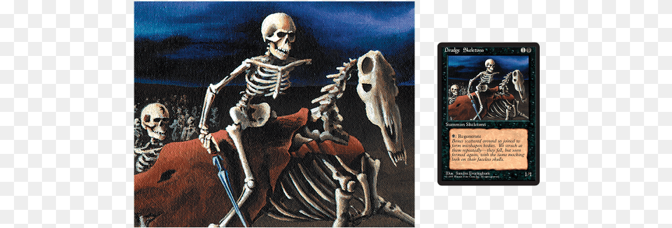 Art By Sandra Everingham Magic The Gathering Drudge Skeletons Beta, Skeleton, Adult, Male, Man Free Transparent Png