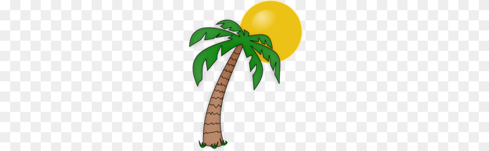 Art Clip Arts, Palm Tree, Plant, Tree, Food Png