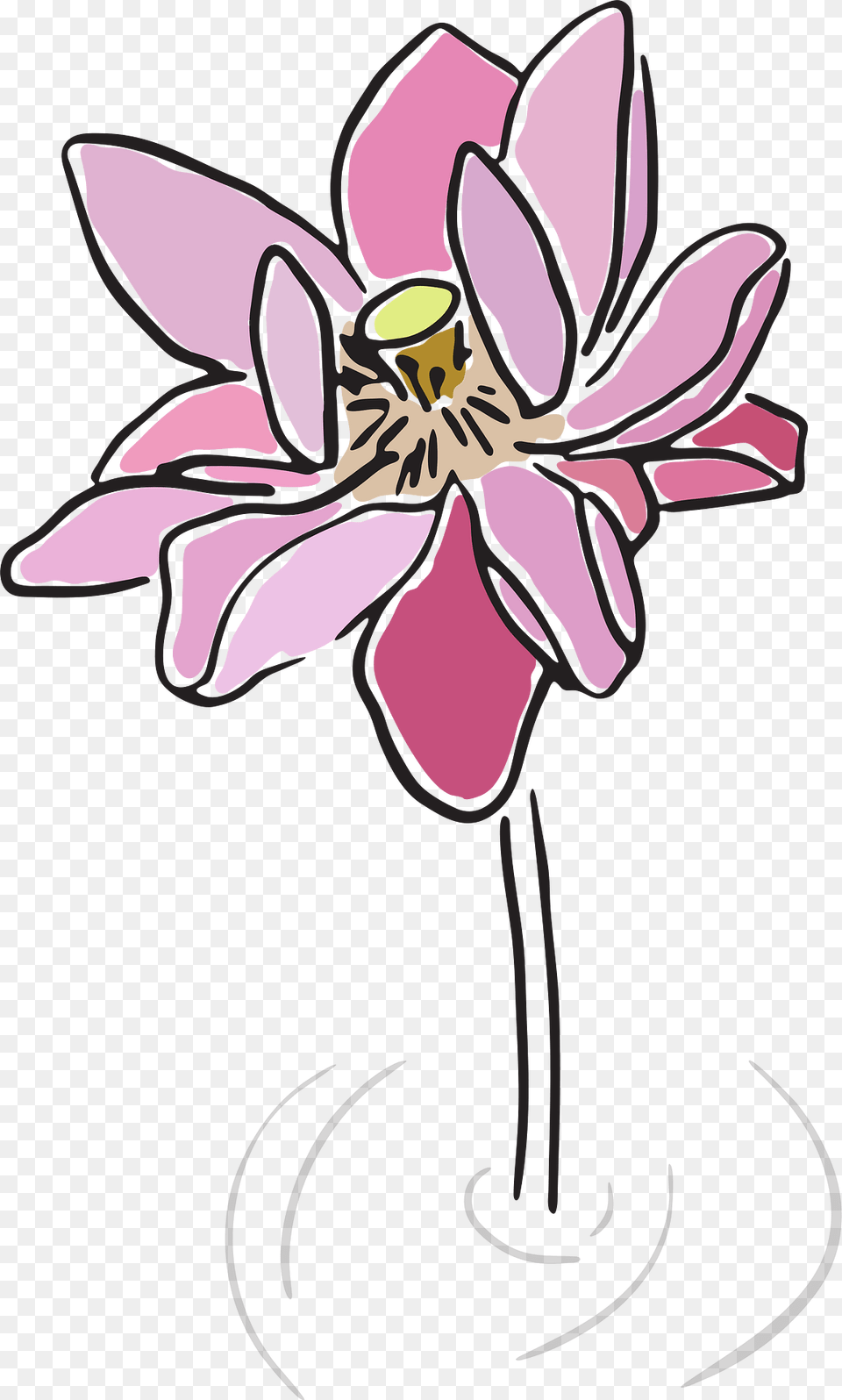 Art Clipart, Flower, Plant, Purple, Orchid Png
