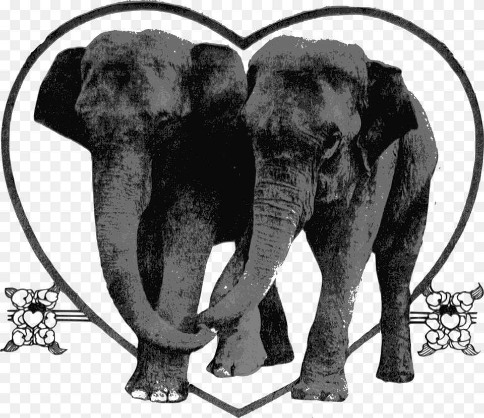 Art Elephant Lover, Adult, Male, Man, Person Png