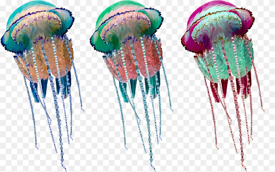 Art Experiment Jellyfish On Behance Jellyfish, Animal, Sea Life, Invertebrate, Person Png Image