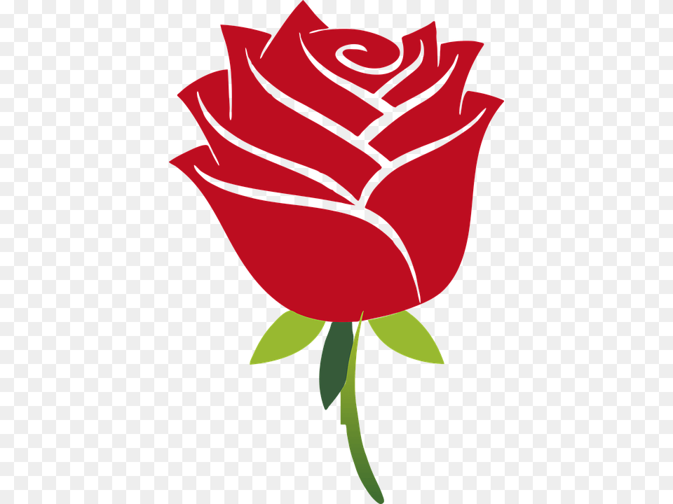 Art Floral Flower Leaf Leaves Plant Red Rose Beauty And The Beast Rose, Petal Png Image