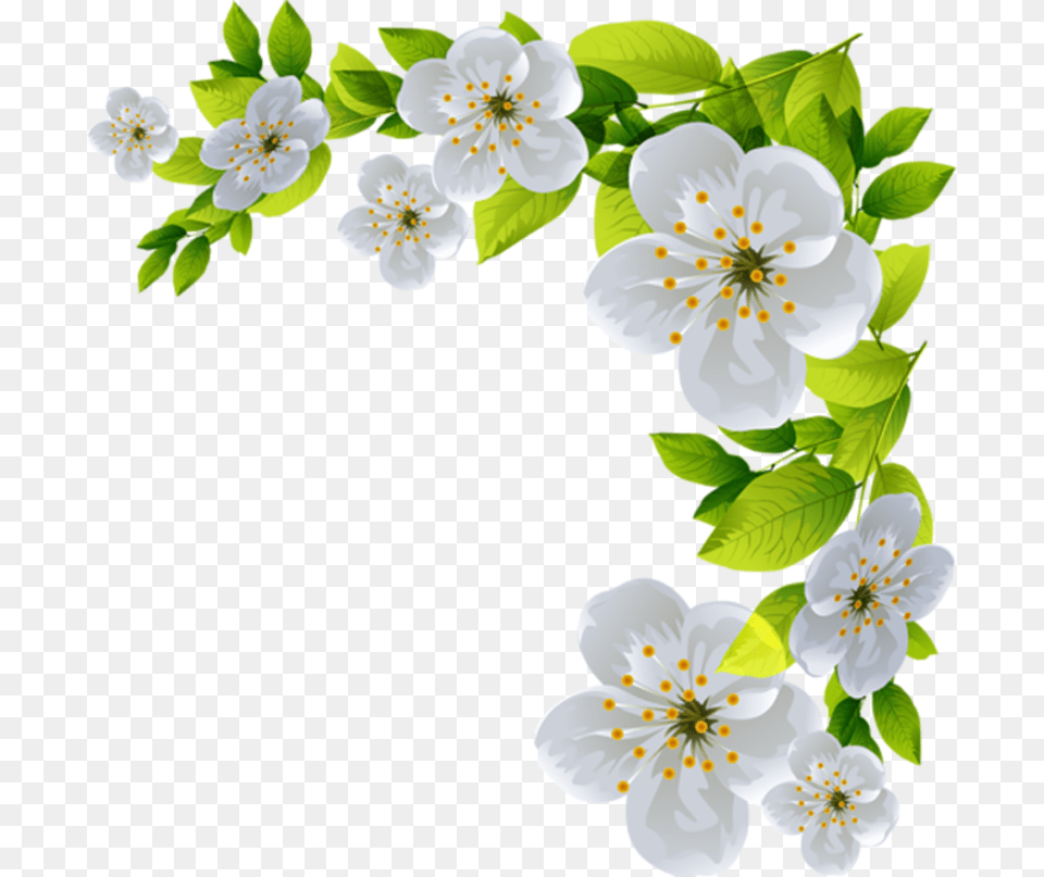 Art Flowers Clip Art Illustrations Artificial Flowers Burnet Rose, Anemone, Flower, Plant, Pollen Png Image