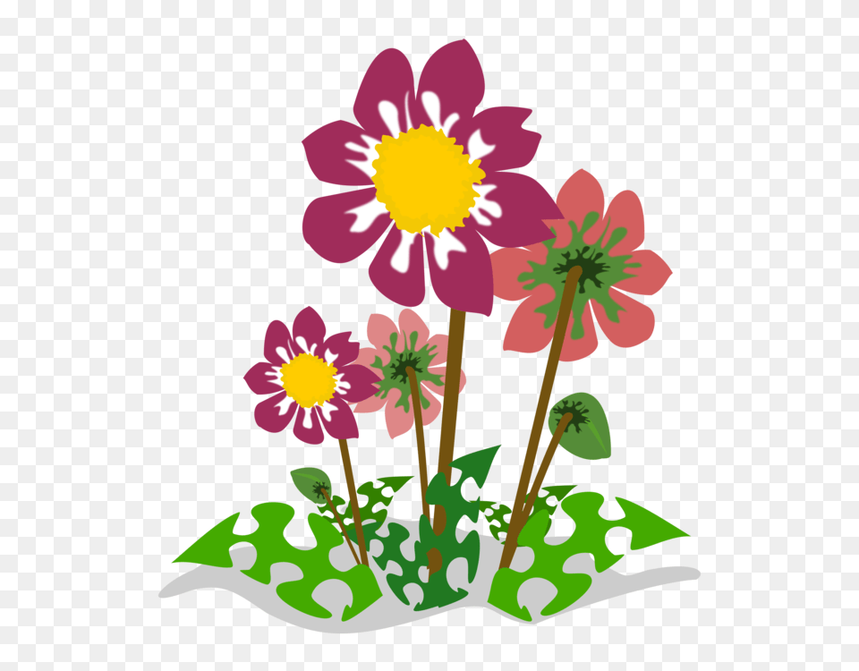 Art Forms In Nature Natural Landscape Flora, Daisy, Flower, Plant, Anemone Free Transparent Png