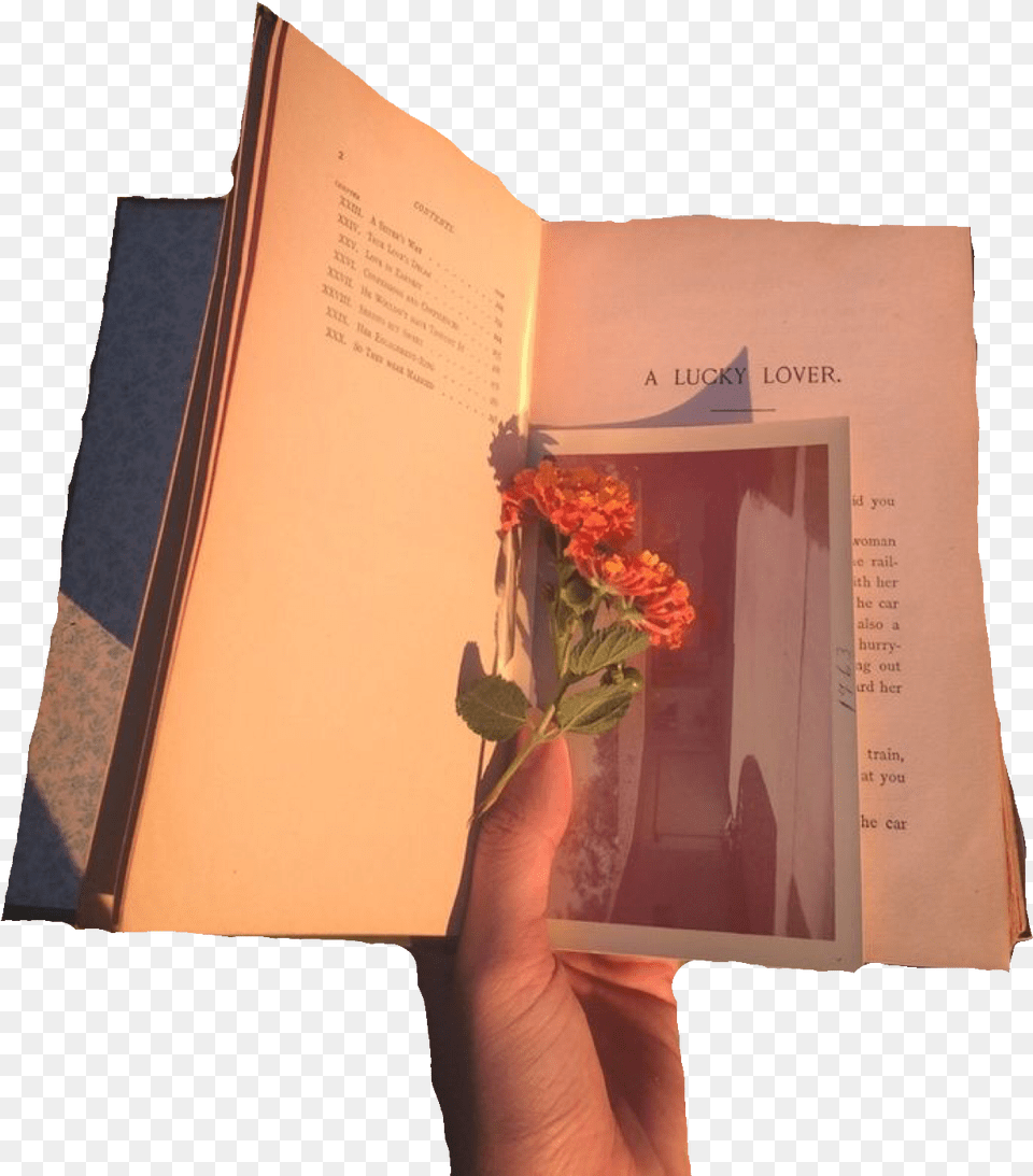 Art Hoe Aesthetic, Book, Flower, Flower Arrangement, Flower Bouquet Png