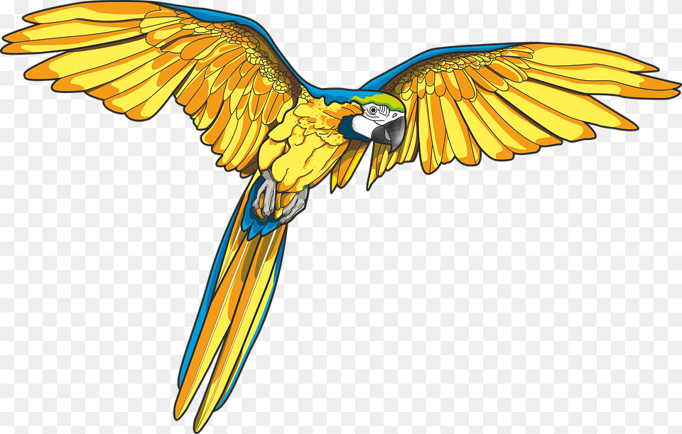 Art Id Blue And Yellow Macaw Art, Animal, Bird, Parrot Png Image