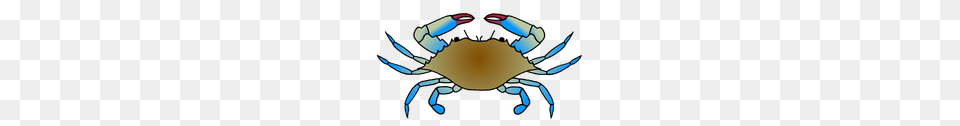 Art Illustration, Animal, Sea Life, Invertebrate, Food Free Transparent Png