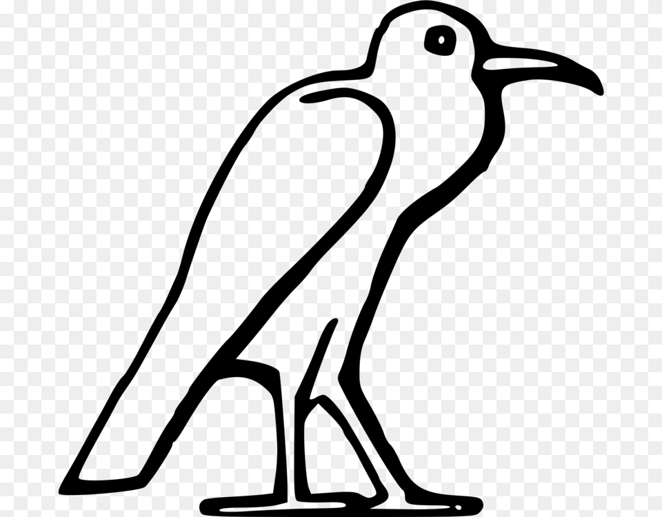 Art Of Ancient Egypt Bird Drawing Ancient Egypt Animals Drawings, Gray Free Png Download