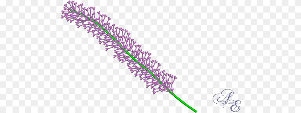 Art Of Embroidery Butterfly Bush Stalk Machine Lavender, Grass, Plant, Purple, Flower Free Png Download