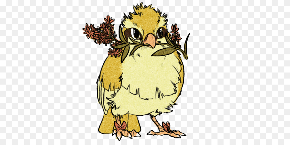 Art Pokemon Pidgey, Animal, Beak, Bird, Baby Free Transparent Png