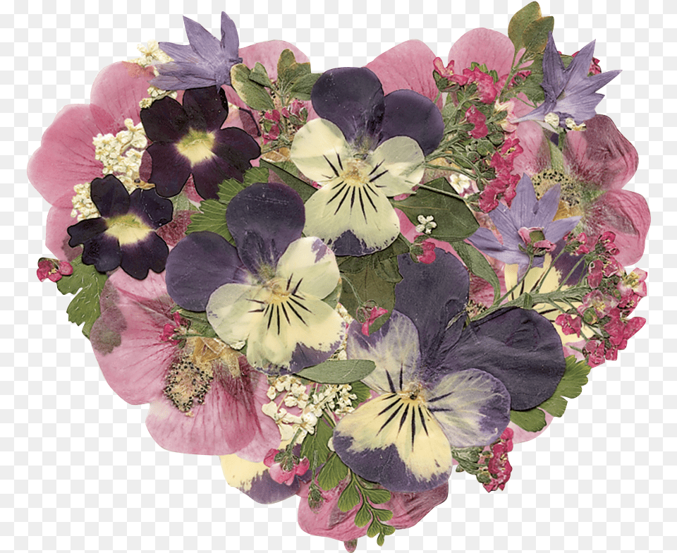 Art Pressed Flowers Plum Purple Flower Heart Dried Pressed Glass Pendant, Plant, Flower Bouquet, Flower Arrangement, Geranium Free Png