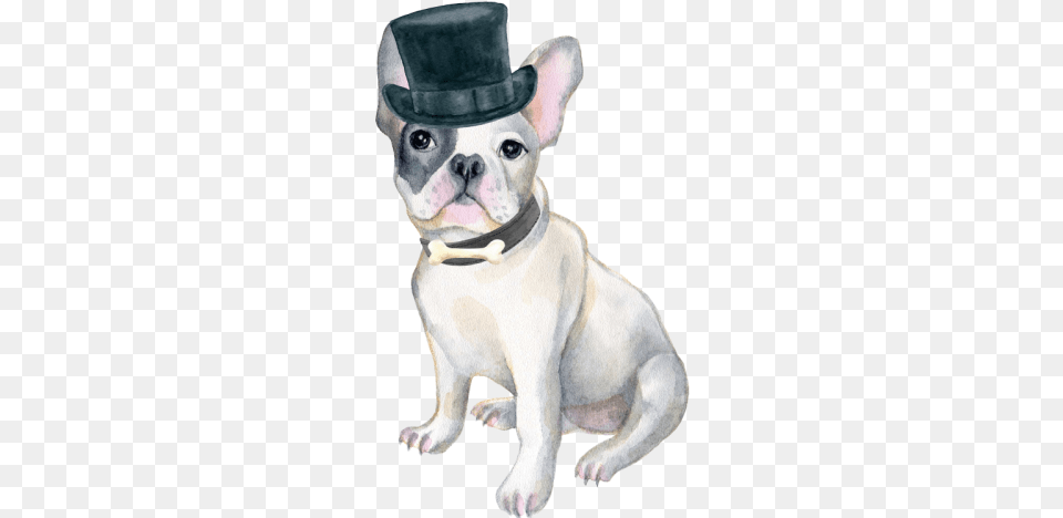 Art Print Dog In Red Winter Hat, Animal, Bulldog, Canine, French Bulldog Png Image