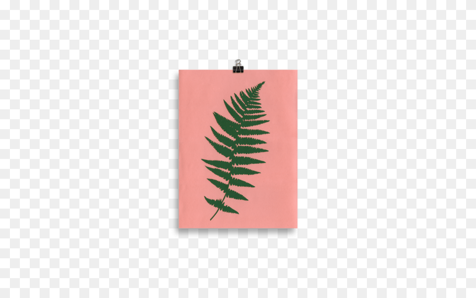 Art Print Fern Rosi Feist Tictail, Plant, Leaf Png