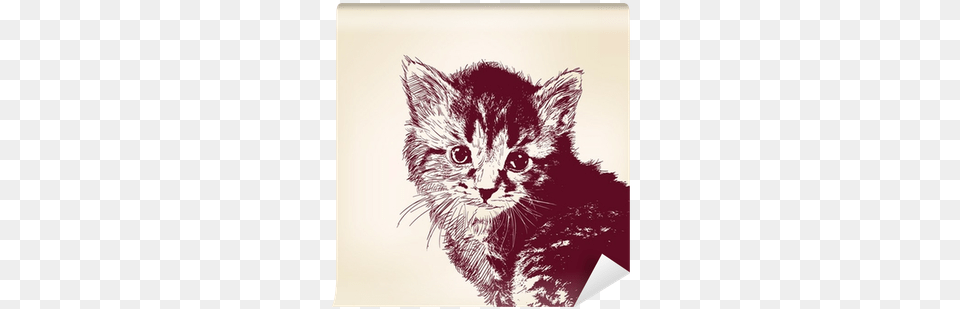 Art Print Vladischern39s Cat Vector Illustration, Animal, Mammal, Pet, Drawing Free Transparent Png