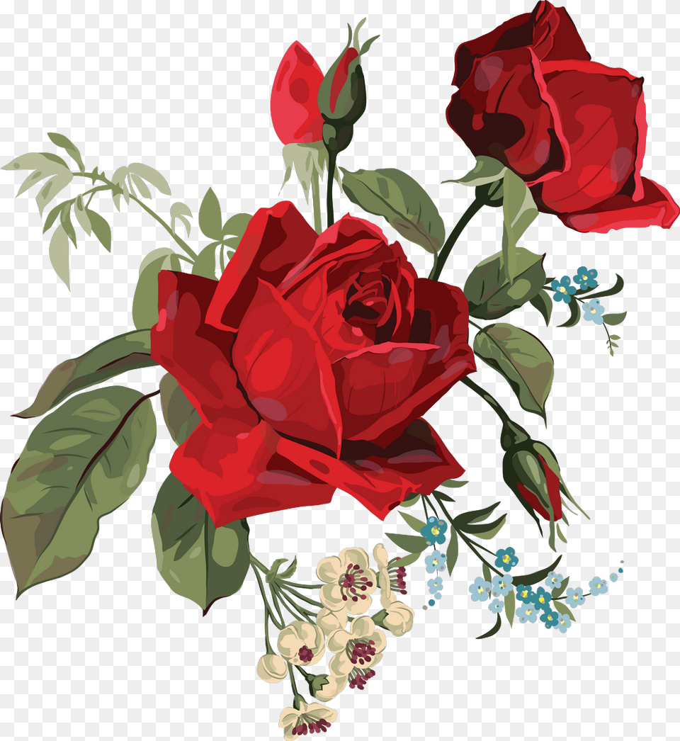 Art Rose Roses Flower Flowers Red Flowers For Invitation, Pattern, Plant, Graphics, Floral Design Free Png Download