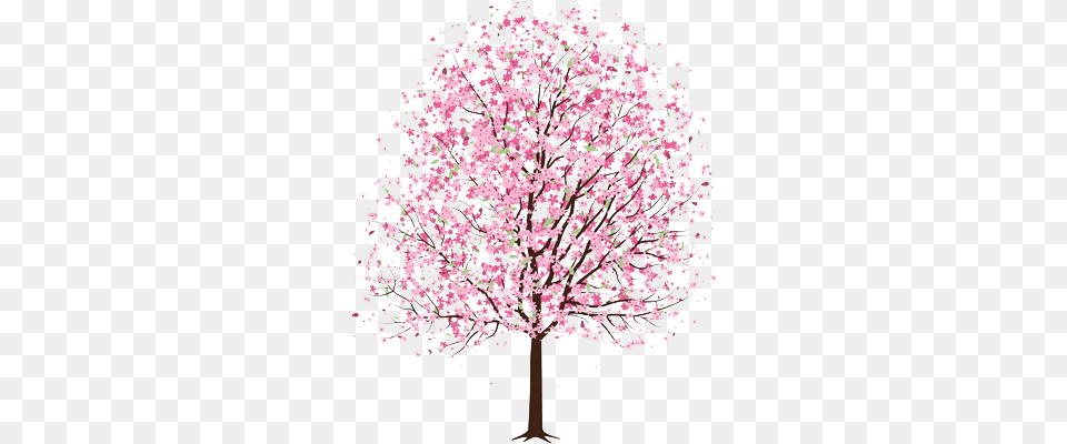 Art Tree Trees Pink Cherry Blossom Drawing Cherry Blossom Tree, Flower, Plant, Cherry Blossom Png