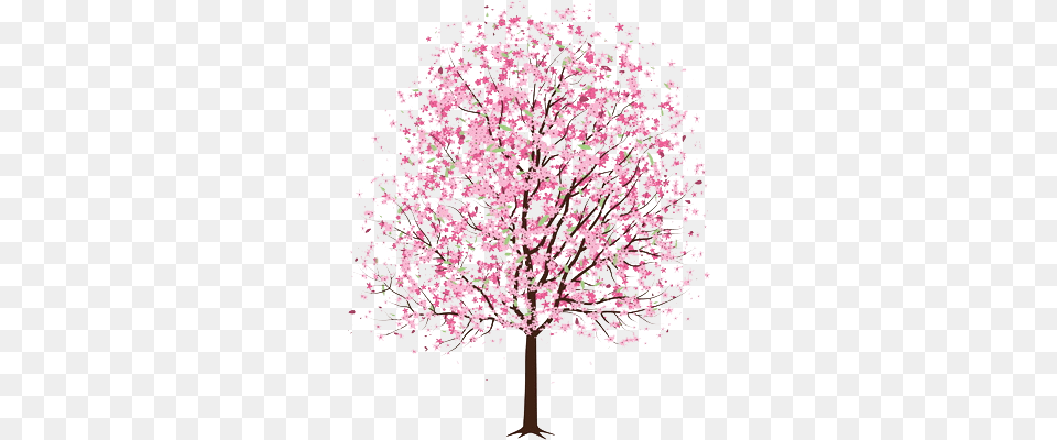 Art Tree Trees Pink Cherry Blossom Transparent Cherry Cherry Blossom Tree Drawing, Flower, Plant, Cherry Blossom Png