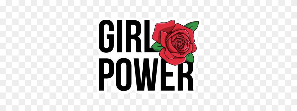 Art Tumblr Girlpower Edit Sticker Madewith, Flower, Plant, Rose, Dynamite Free Png