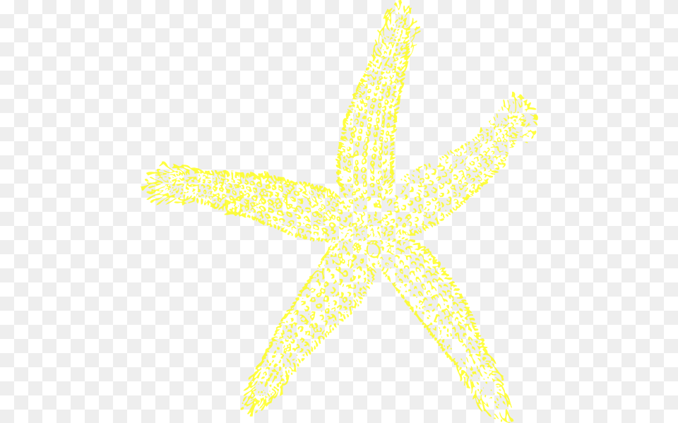 Art Wall Starfish Green And Art, Animal, Sea Life, Invertebrate Free Png Download