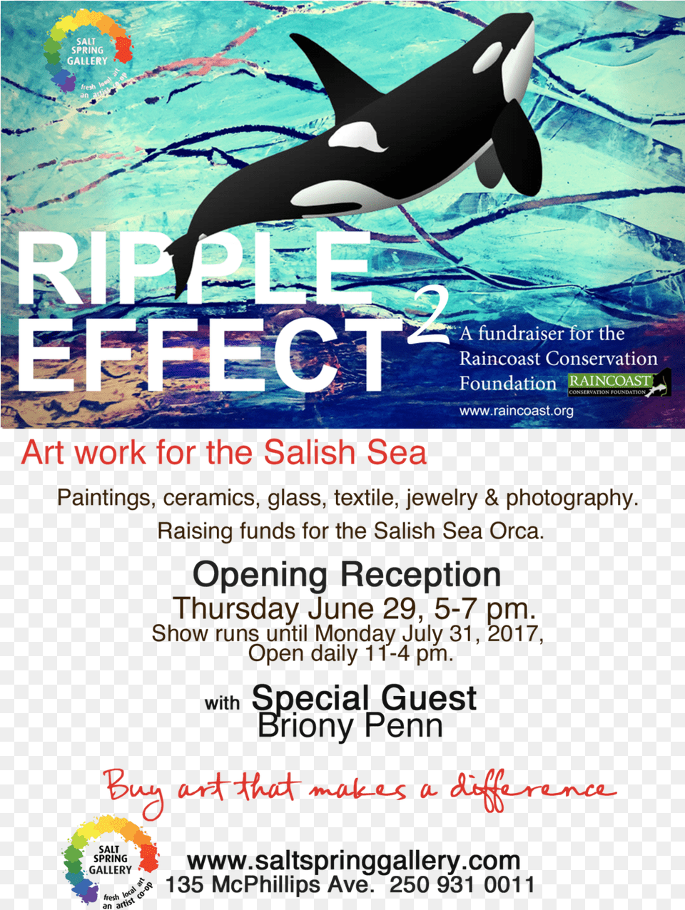 Art Work For The Salish Sea Killer Whale, Advertisement, Poster, Animal, Fish Free Transparent Png