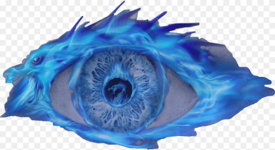 Artaveragejoecreator Art Interesting Dragoneye Blowfish, Accessories, Ornament, Person, Gemstone Free Transparent Png