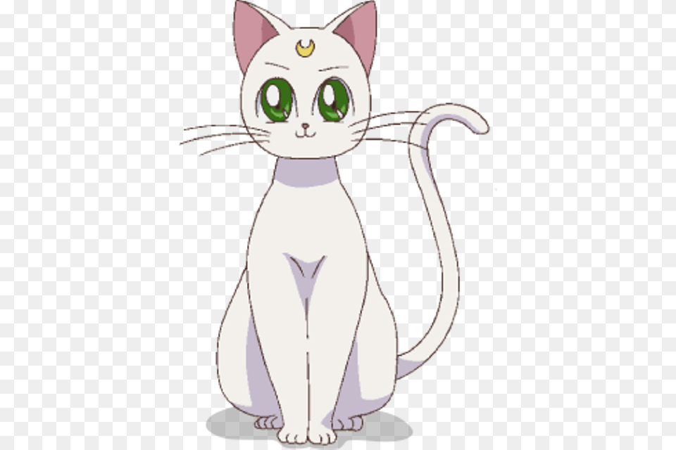 Artemis Artemis De Sailor Moon Crystal, Animal, Cat, Mammal, Pet Free Transparent Png