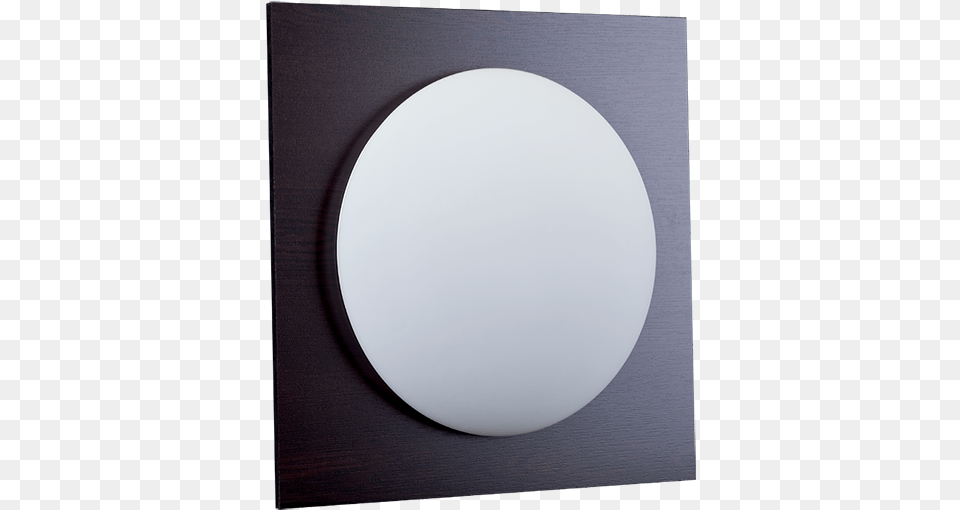 Artemis Elmark Holding Circle, Sphere, Photography, Oval Free Png