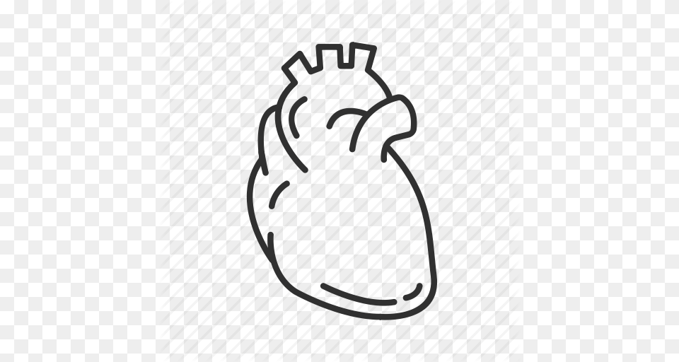 Arteries Cardiovascular System Circulatory Pump Heart Human Free Png