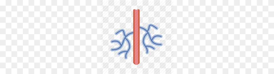 Artery Clipart Png