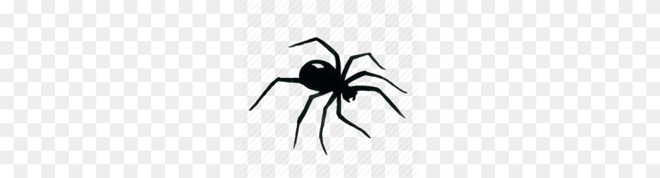 Arthropod Clipart, Animal, Invertebrate, Spider, Black Widow Png