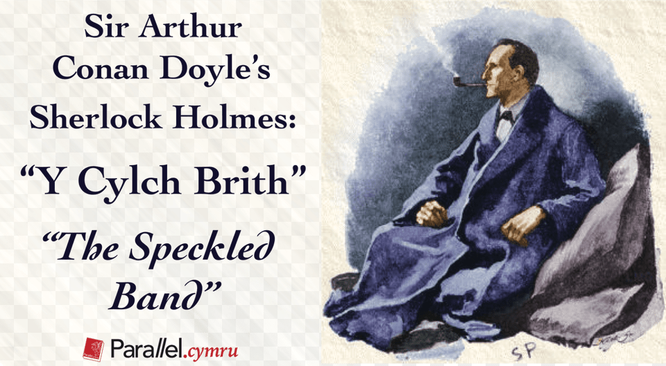 Arthur Conan Doyle39s Sherlock Holmes Sign Of The Four Book, Adult, Fashion, Male, Man Free Transparent Png