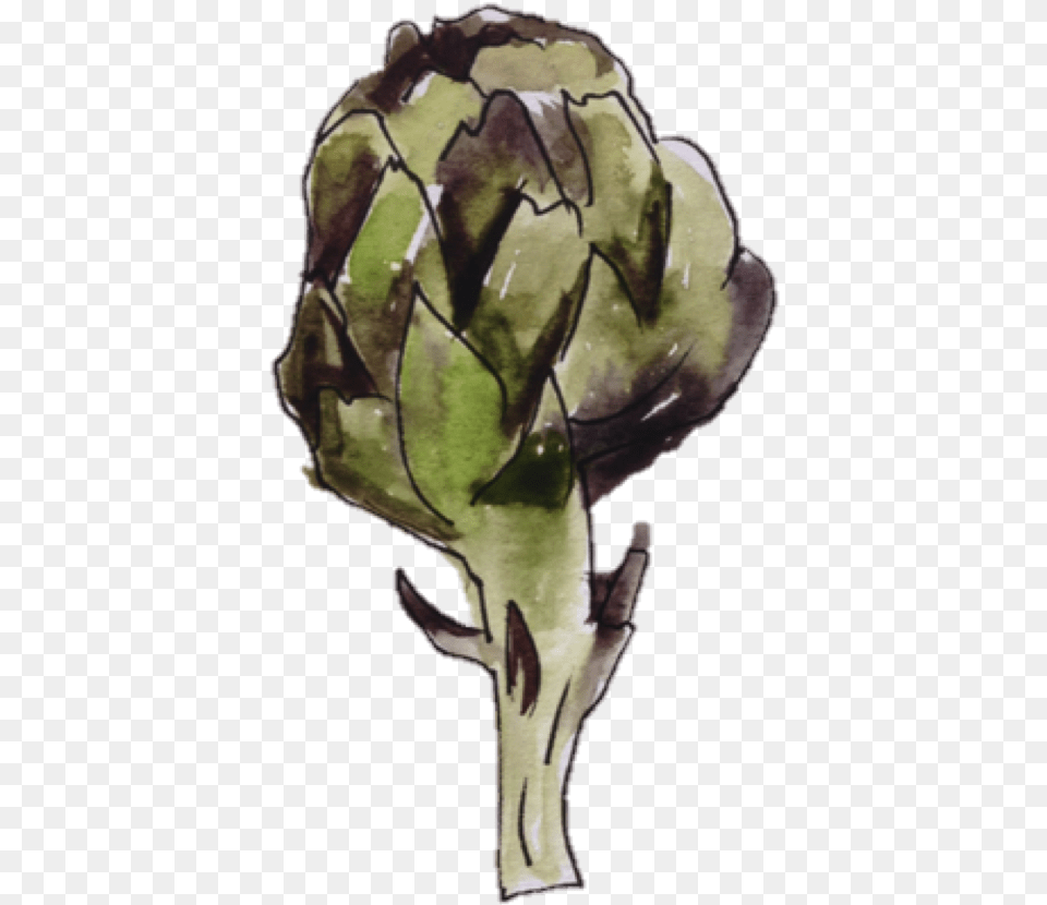 Artichoke, Food, Produce, Plant, Vegetable Free Png