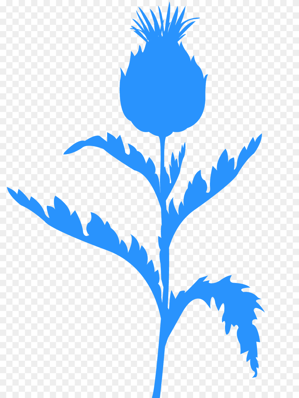 Artichoke Silhouette, Leaf, Plant, Daisy, Flower Png Image