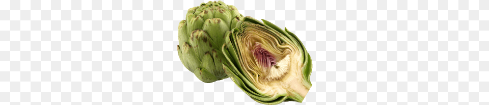 Artichoke Sliced, Food, Produce, Plant, Vegetable Png