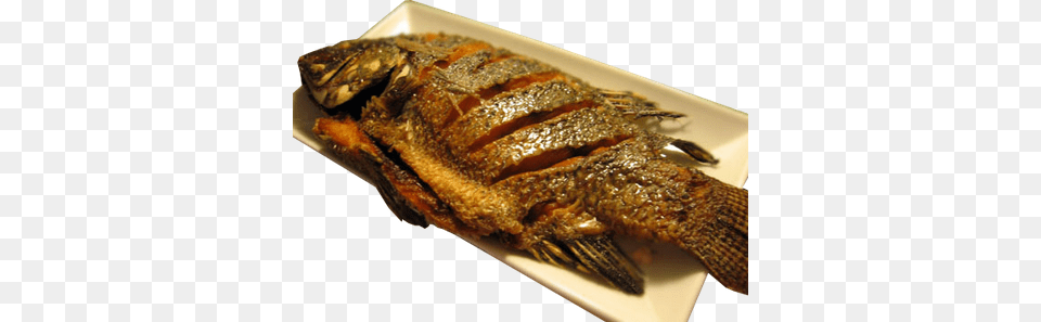 Article Fried Fish, Animal, Food, Invertebrate, Lobster Free Png