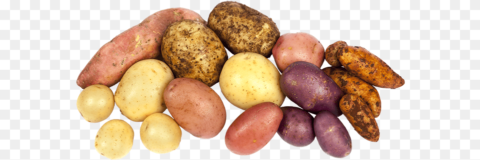 Article Potatoessystem Different Potatoes, Food, Plant, Potato, Produce Free Transparent Png