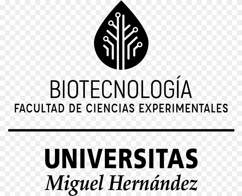 Articulacin Principal En Una Tinta Universidad Miguel Hernndez De Elche, Gray Free Png