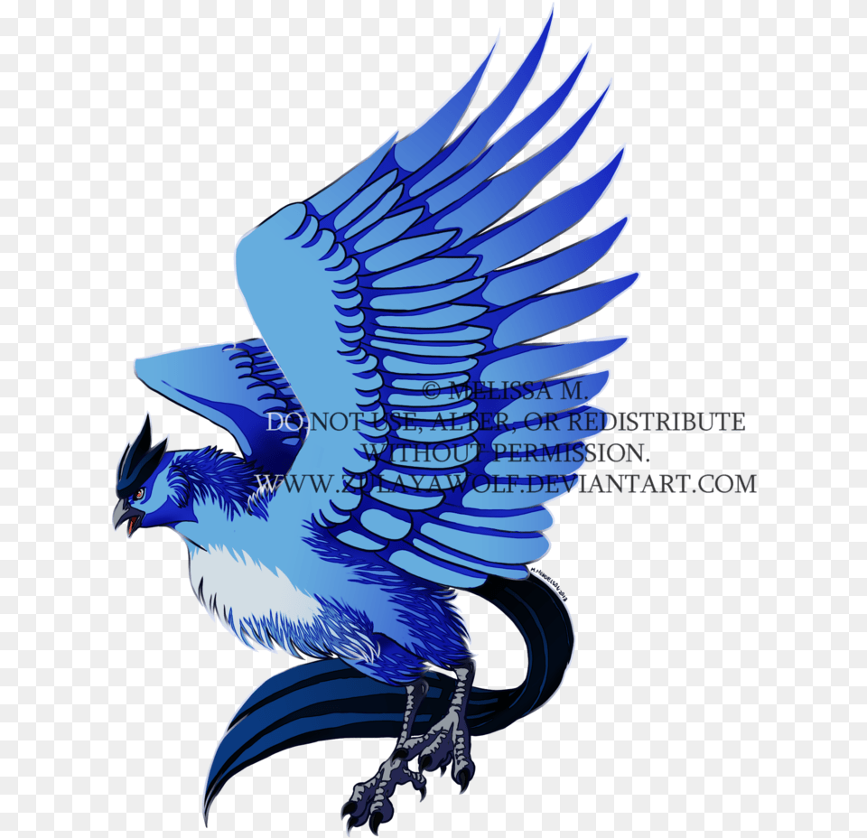 Articuno By Zulayawolf On Falconiformes, Animal, Bird, Jay, Bluebird Png