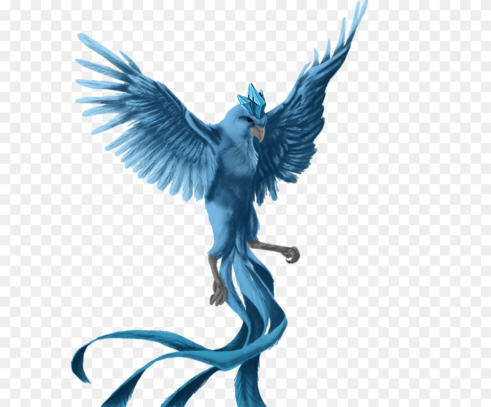 Articuno Evil For Download On Ya Webdesign, Angel, Animal, Bird, Chicken Free Png