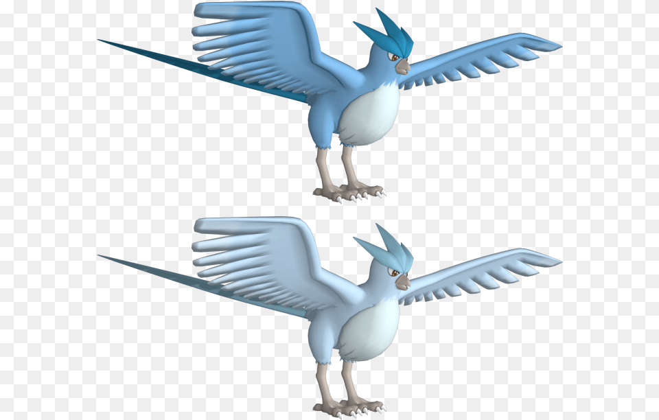 Articuno Free 3d Articuno Pokemon, Animal, Bird, Flying, Seagull Png Image