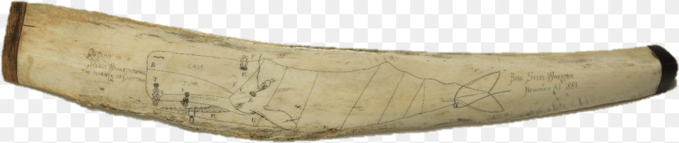 Artifact Spotlight Whale Bone Wood, Ivory, Brass Section, Horn, Musical Instrument Free Png