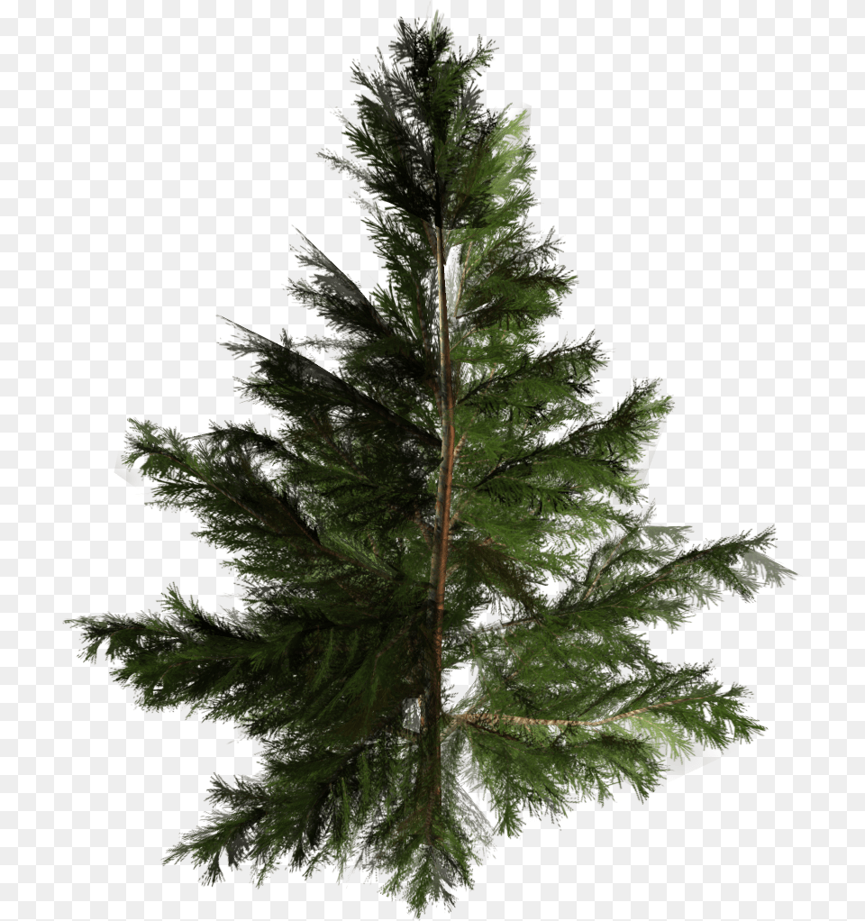 Artificial Christmas Tree Pine Pinales Tree, Conifer, Fir, Plant Free Transparent Png