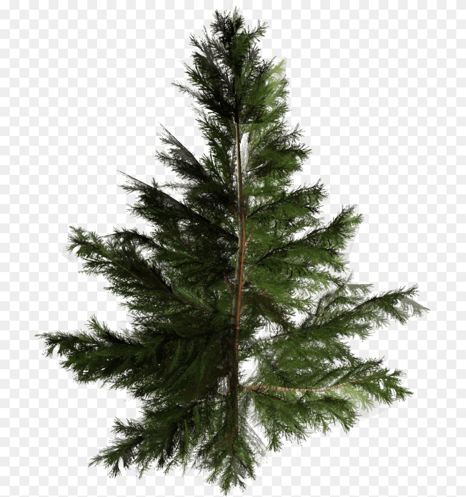 Artificial Christmas Tree Pine Pinales Tree Download Pinales, Fir, Plant, Conifer Png Image