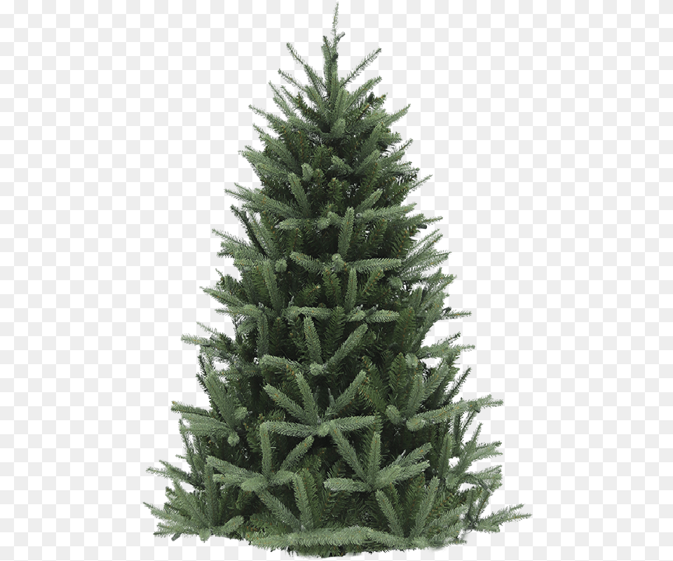 Artificial Christmas Trees Hicks Nurseries Christmas Tree, Pine, Plant, Fir, Christmas Decorations Free Transparent Png