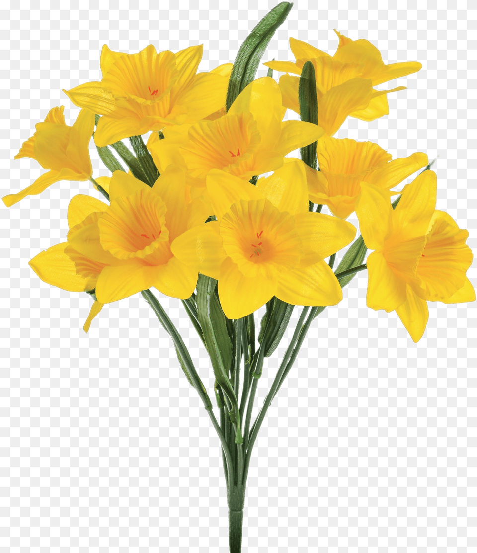 Artificial Daffodils Transparent Daffodil, Flower, Plant Png Image
