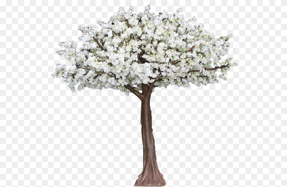 Artificial Decoration Cherry Magnolia Kobus, Flower, Plant, Tree, Flower Arrangement Free Png Download
