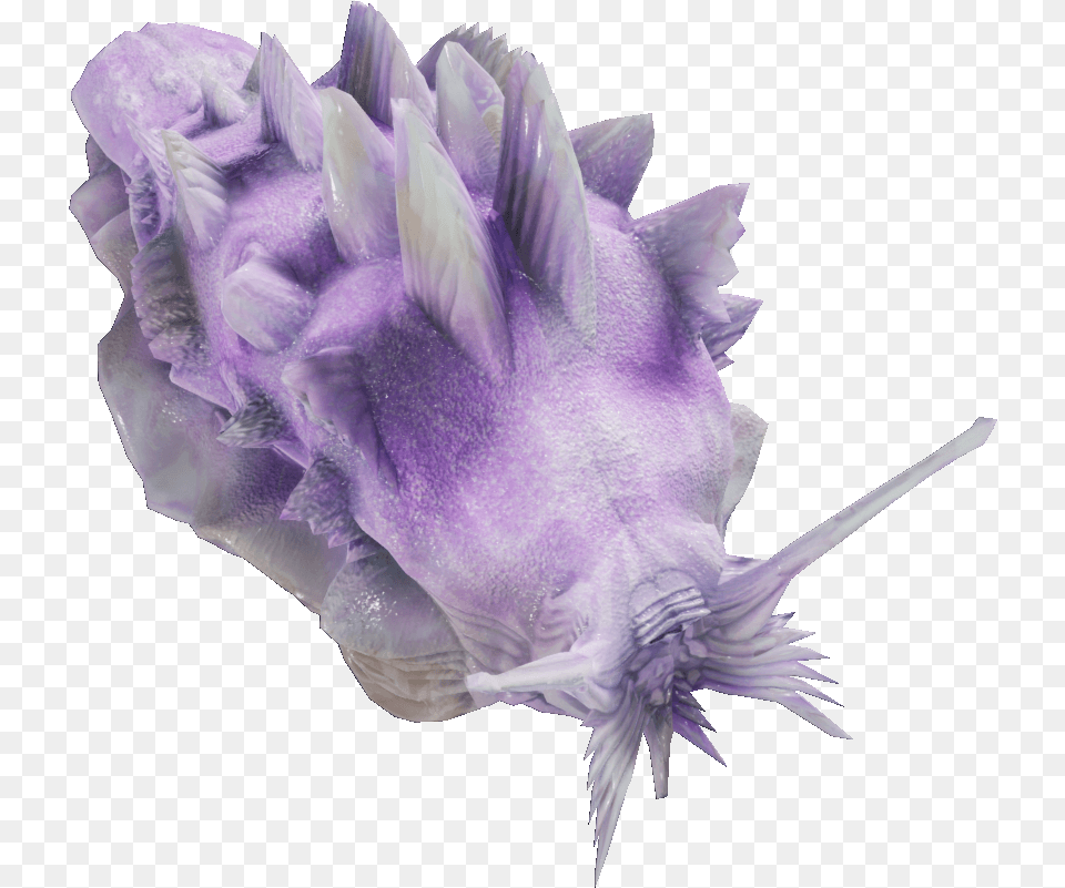 Artificial Flower, Crystal, Animal, Invertebrate, Mineral Free Png