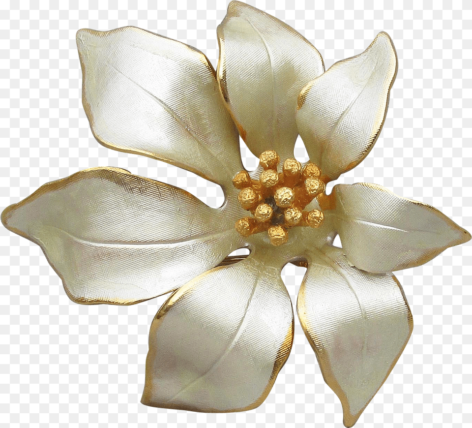 Artificial Flower, Accessories, Plant, Petal, Jewelry Png