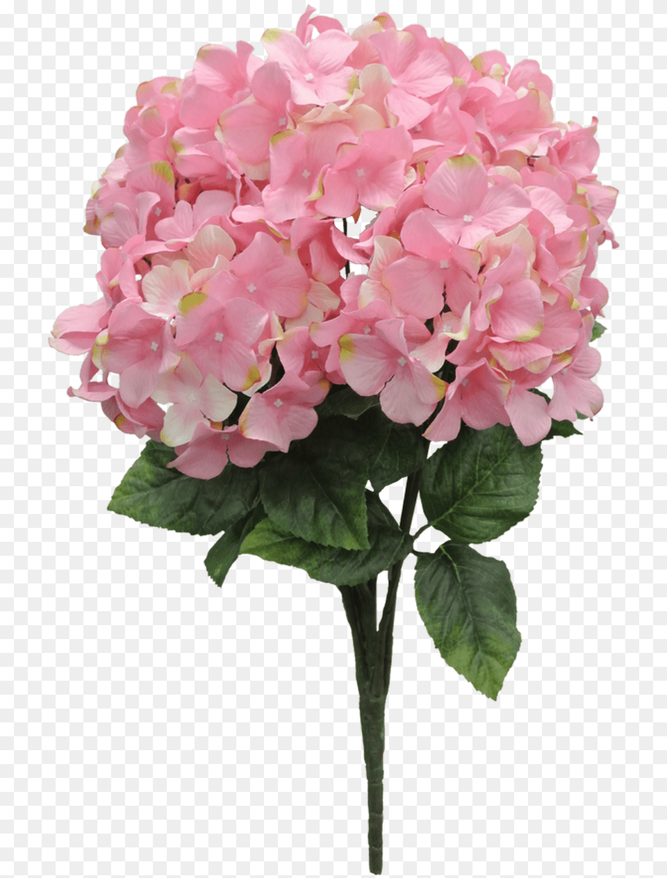 Artificial Flower, Flower Arrangement, Flower Bouquet, Geranium, Plant Free Transparent Png