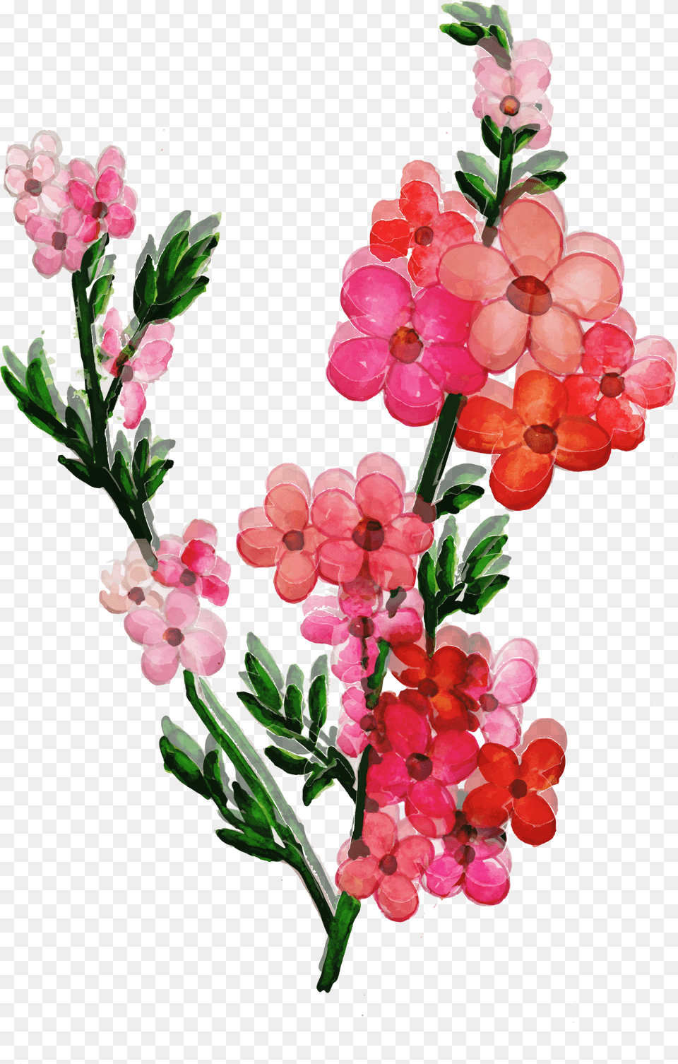 Artificial Flower, Petal, Plant, Geranium, Flower Arrangement Free Png Download